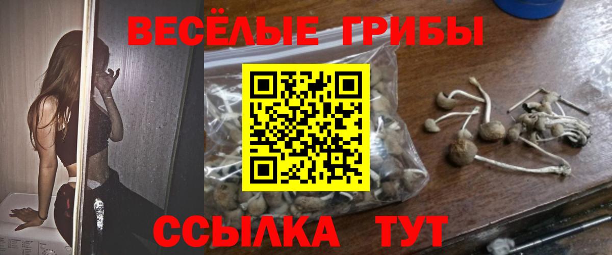 Псилоцибиновые грибы мухоморы  Вход с VPN  где можно купить наркотик  Ярцево 